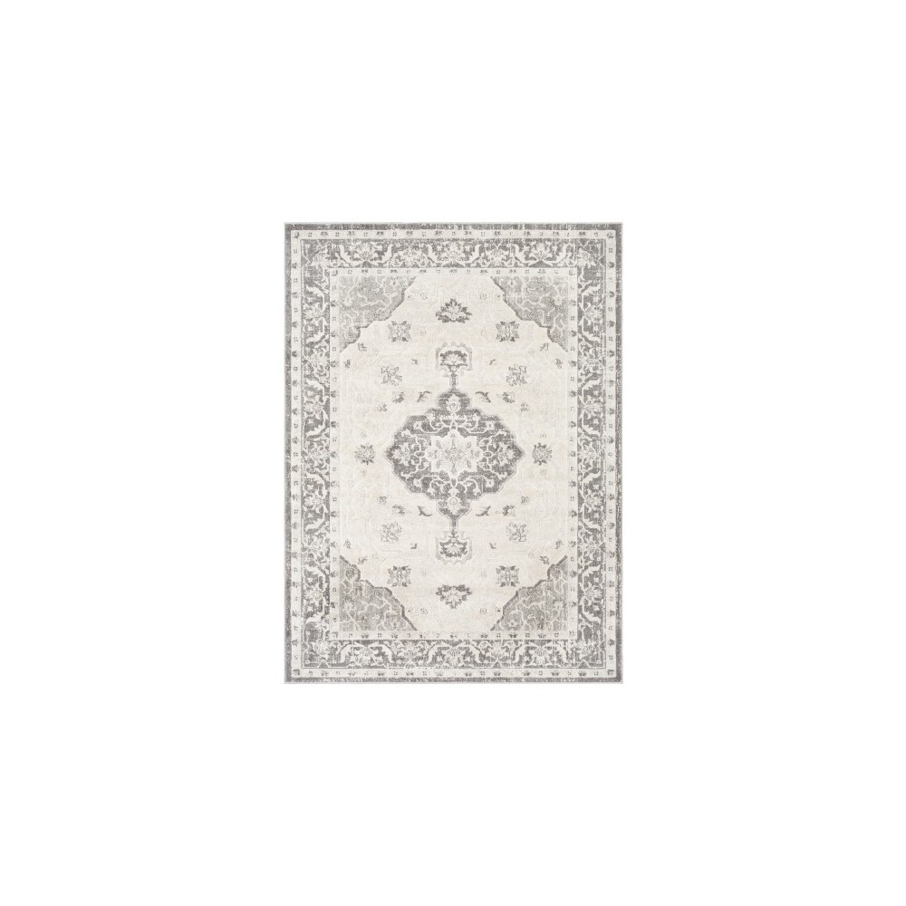 Surya Remy RMY-2321 7'10" x 10' Rug