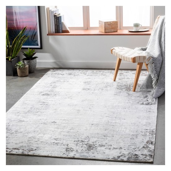 Surya Park Avenue PAV-2301 2' x 3' Rug