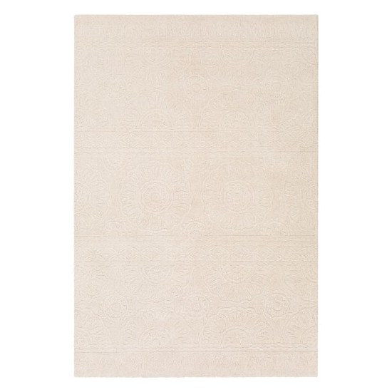 Surya Taraash TRH-2301 2' x 3' Rug