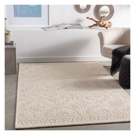 Surya Taraash TRH-2301 2' x 3' Rug