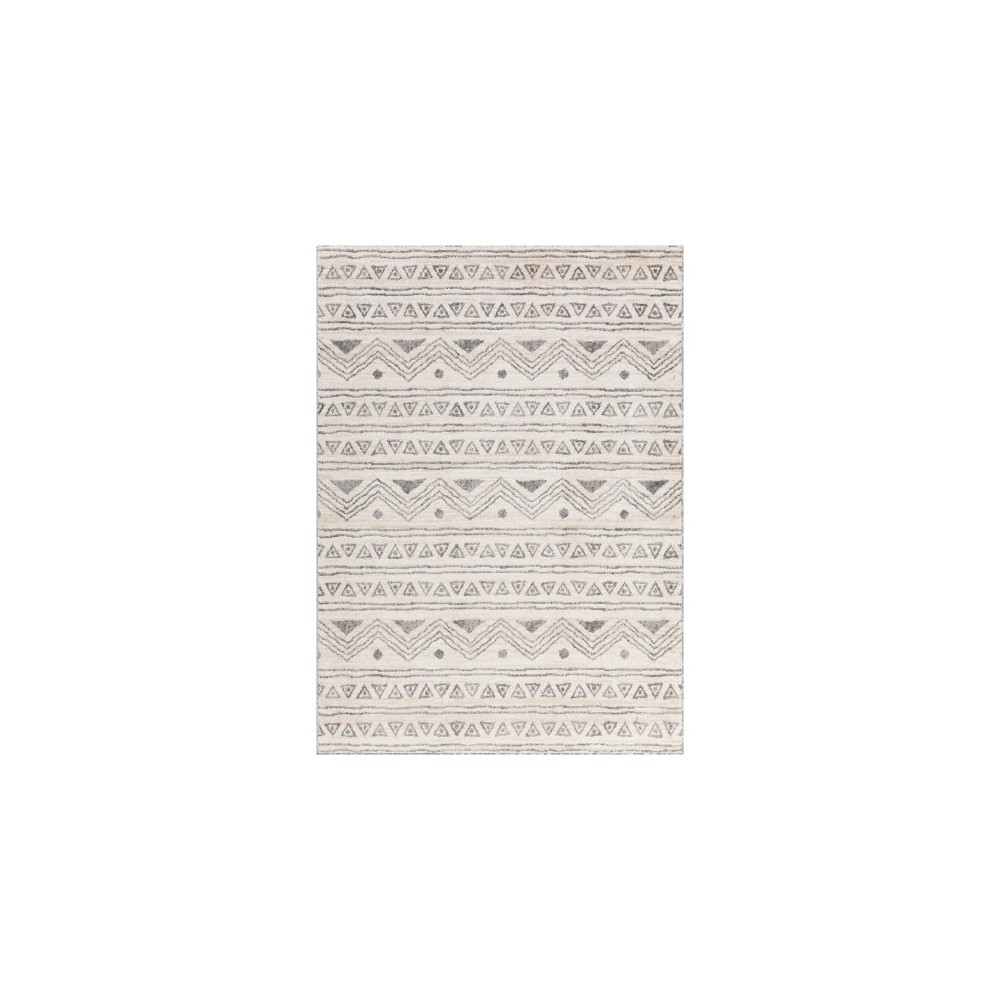 Surya Positano PSN-2301 6'7" x 9' Rug