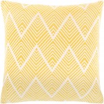 Surya Kanga KGA-007 22" x 22" Pillow Cover