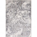 Surya Perception PCP-2300 6'7" x 9'2" Rug