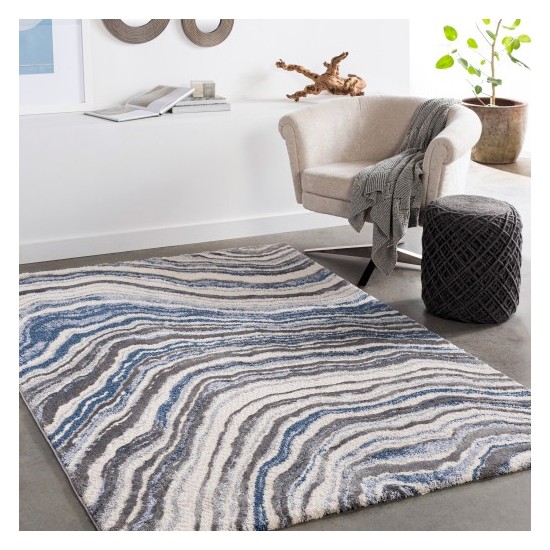 Surya Cielo CEL-2303 2' x 3' Rug