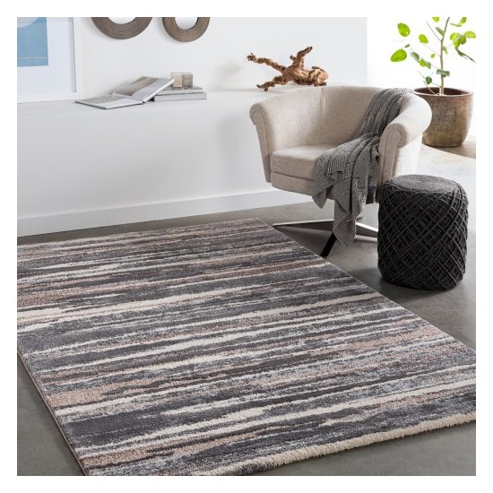 Surya Cielo CEL-2307 2' x 3' Rug