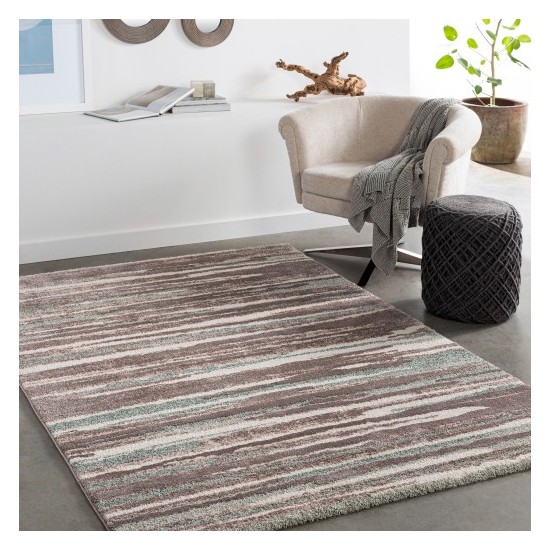 Surya Cielo CEL-2309 2' x 3' Rug