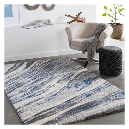 Surya Cielo CEL-2312 2' x 3' Rug