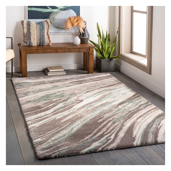 Surya Cielo CEL-2313 2' x 3' Rug