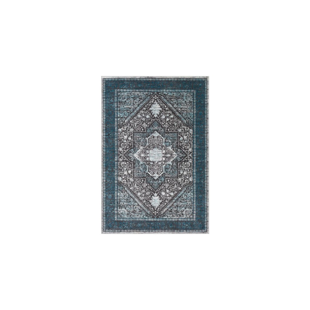 Surya Couture CTU-2318 2' x 3' Rug