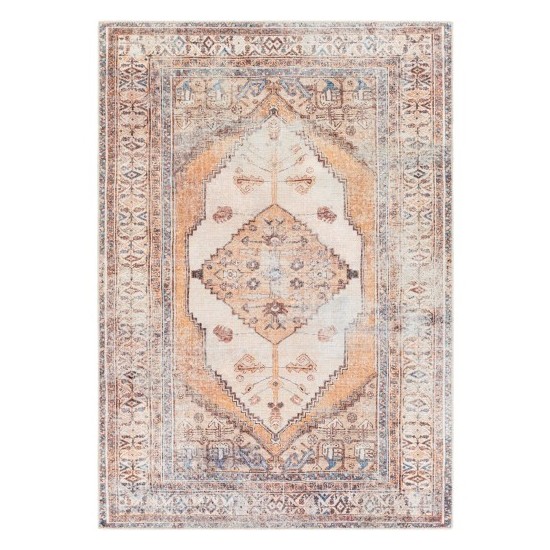 Surya Amelie AML-2312 2' x 2'11" Rug