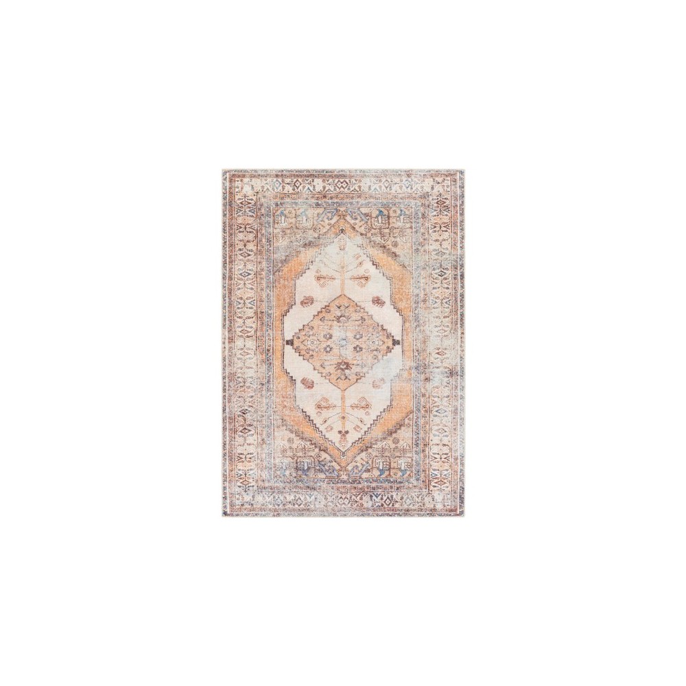 Surya Amelie AML-2312 5'3" x 7'3" Rug Surya Amelie AML-2312 5'3" x 7'3" Rug