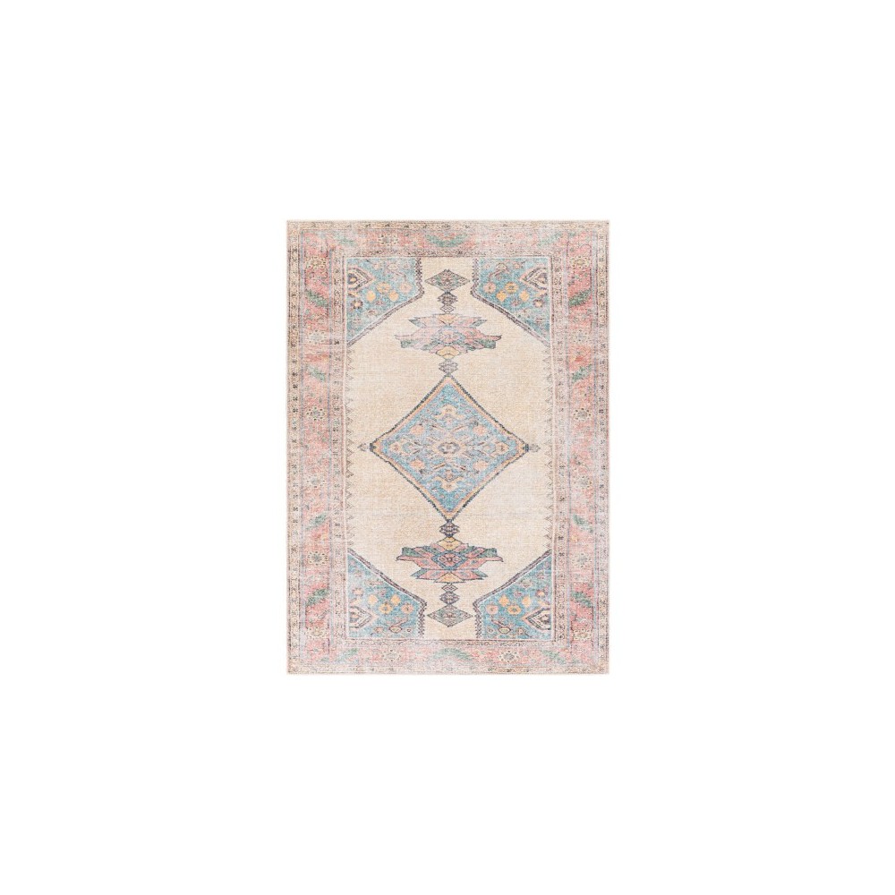 Surya Amelie AML-2313 2' x 2'11" Rug