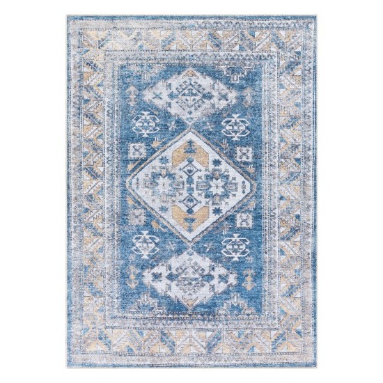 Surya Amelie AML-2315 2' x 2'11" Rug