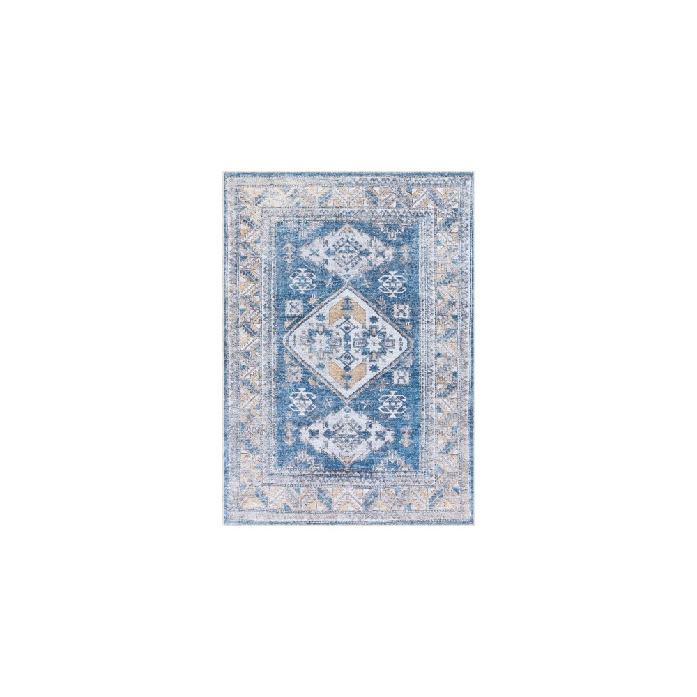 Surya Amelie AML-2315 2'7" x 7'10" Rug Surya Amelie AML-2315 2'7" x 7'10" Rug