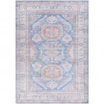 Surya Amelie AML-2317 2'7" x 7'10" Rug