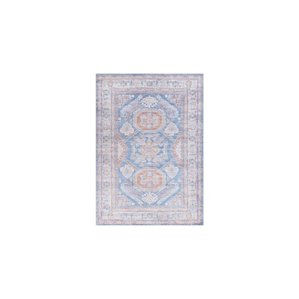 Surya Amelie AML-2317 2'7" x 7'10" Rug