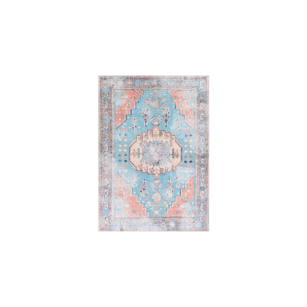 Surya Amelie AML-2318 5'3" x 7'3" Rug