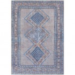 Surya Amelie AML-2323 2' x 2'11" Rug