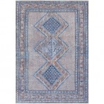 Surya Amelie AML-2323 7'10" x 10'2" Rug