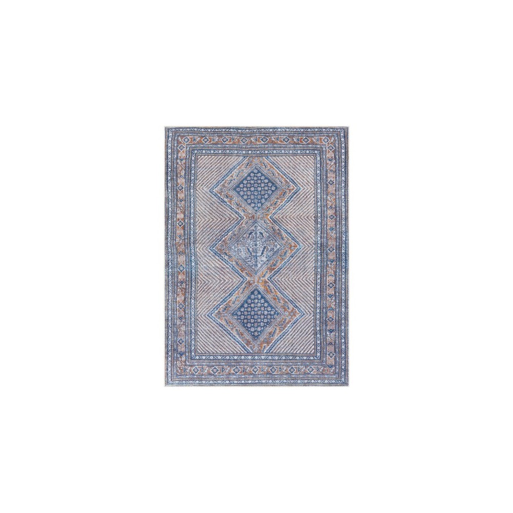 Surya Amelie AML-2323 7'10" x 10'2" Rug