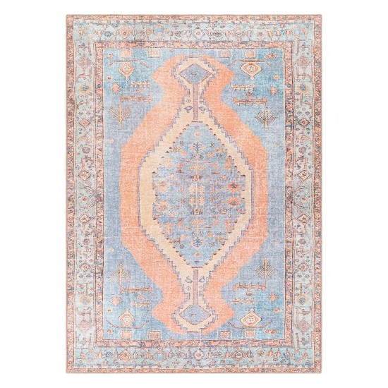 Surya Amelie AML-2325 2' x 2'11" Rug