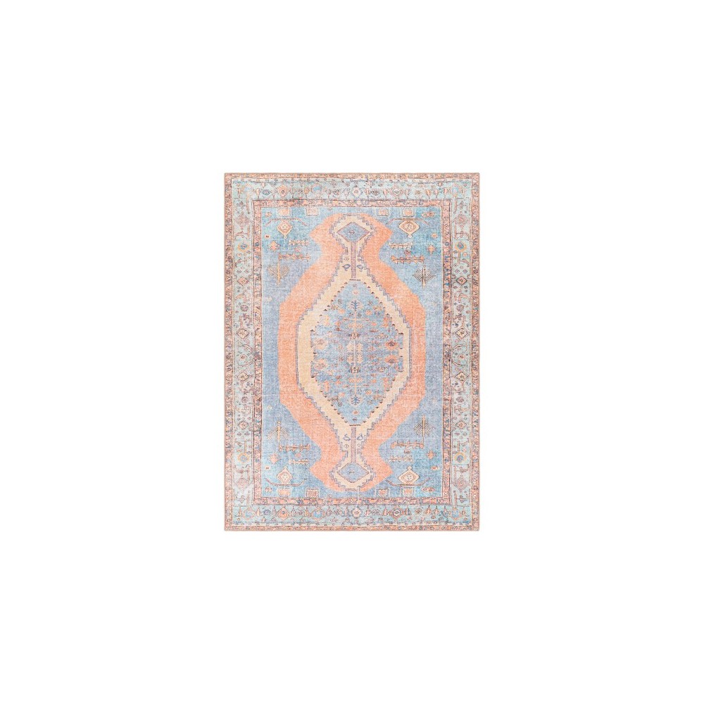 Surya Amelie AML-2325 2' x 2'11" Rug