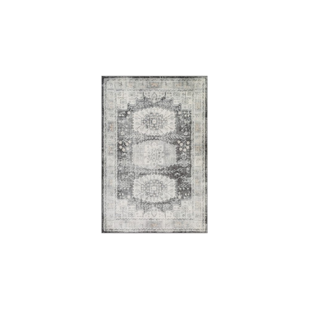 Surya Indigo IGO-2326 7'10" x 10'2" Rug