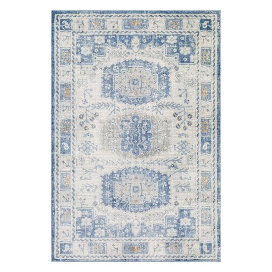 Surya Indigo IGO-2328 2' x 2'11" Rug