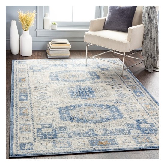 Surya Indigo IGO-2328 2' x 2'11" Rug