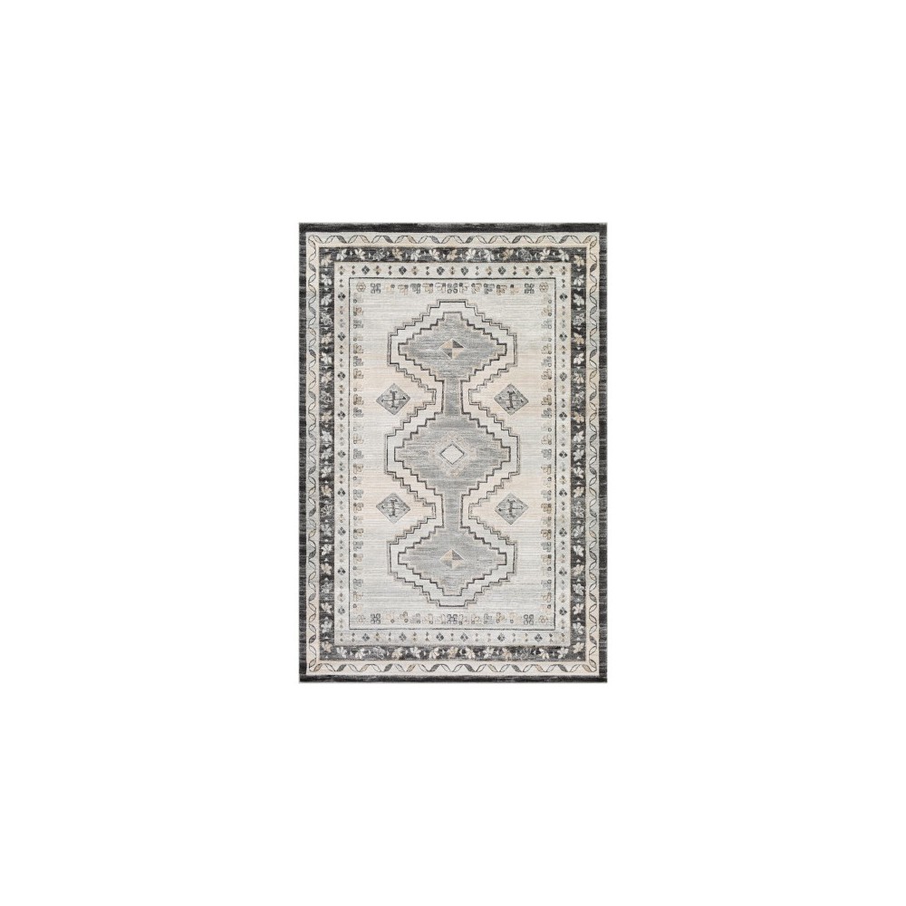 Surya Indigo IGO-2330 2' x 2'11" Rug