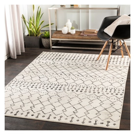 Surya Pisa PSS-2300 5' x 7' Rug