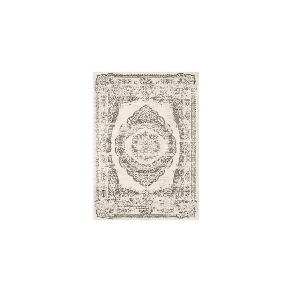 Surya Pisa PSS-2302 7'10" x 10' Rug