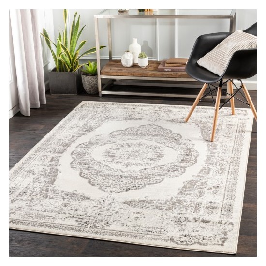 Surya Pisa PSS-2302 7'10" x 10' Rug