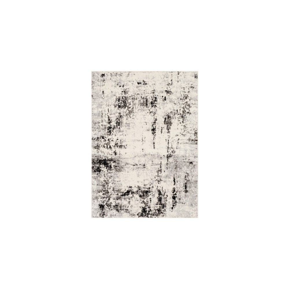 Surya Pisa PSS-2303 6'7" x 9' Rug Surya Pisa PSS-2303 6'7" x 9' Rug