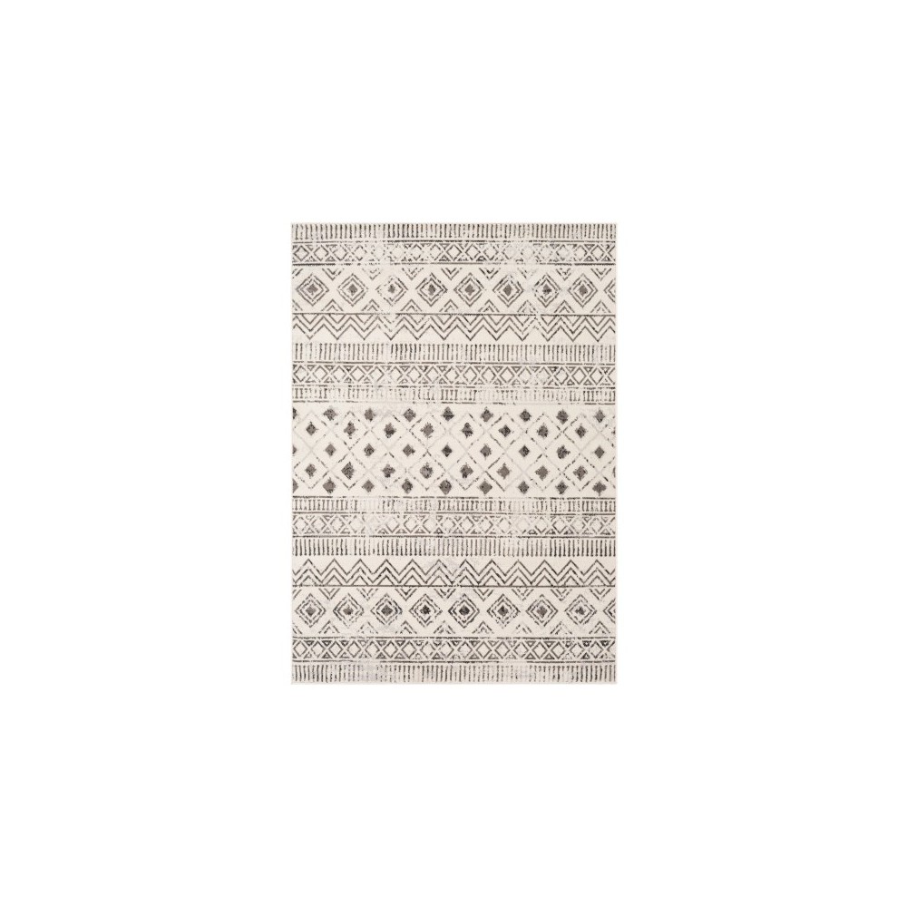 Surya Pisa PSS-2305 7'10" x 10' Rug