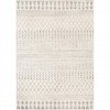 Surya Pisa PSS-2309 5' x 7' Rug