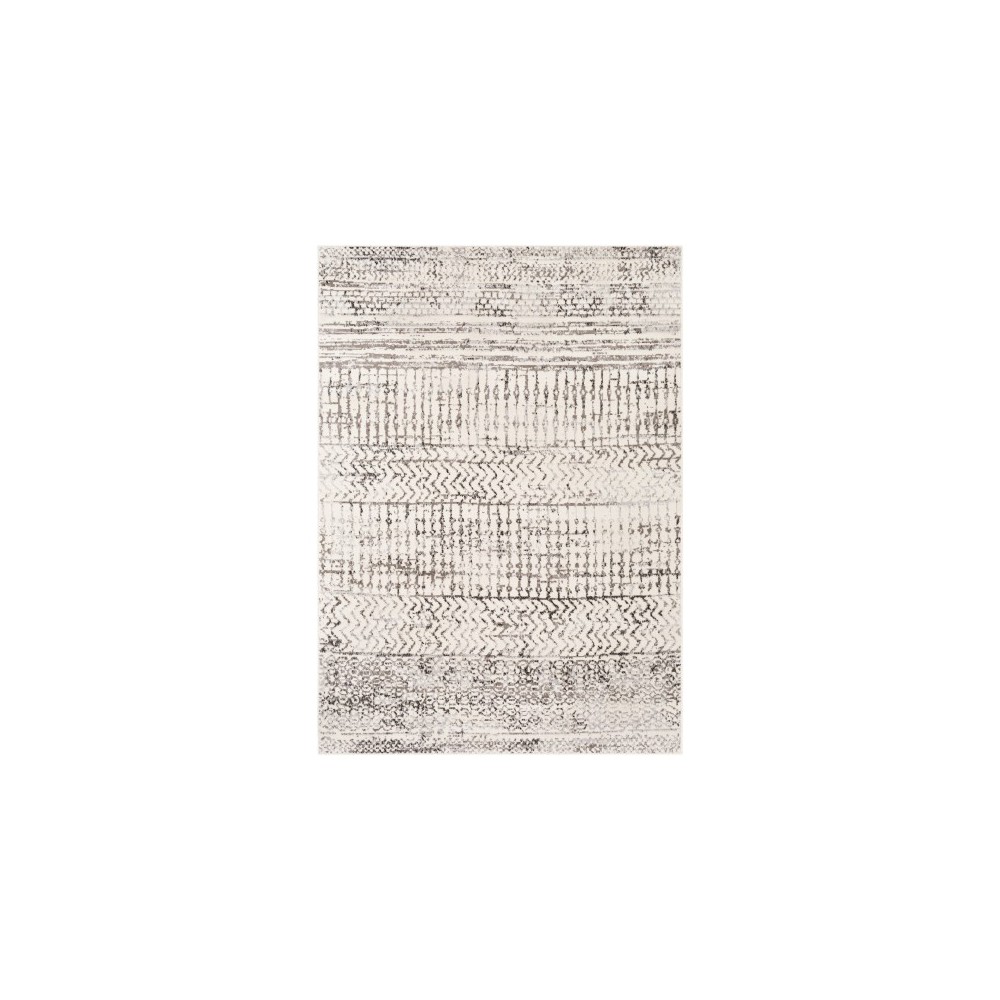Surya Pisa PSS-2310 6'7" x 9' Rug Surya Pisa PSS-2310 6'7" x 9' Rug
