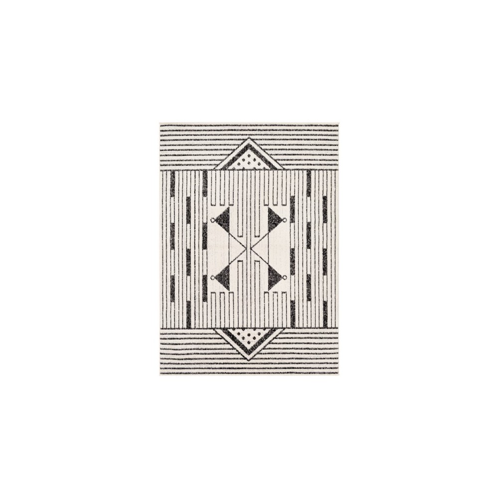 Surya Pisa PSS-2316 5' x 7' Rug Surya Pisa PSS-2316 5' x 7' Rug