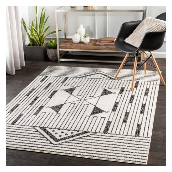 Surya Pisa PSS-2316 5' x 7' Rug