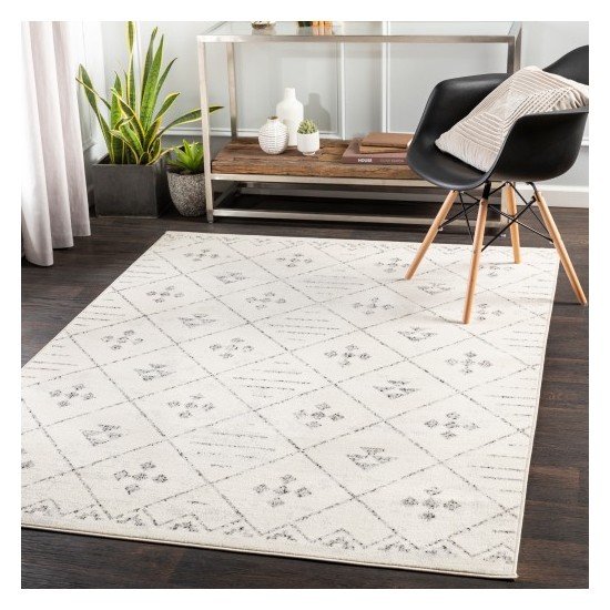 Surya Pisa PSS-2317 5' x 7' Rug