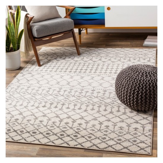 Surya Chester CHE-2319 2'7" x 10' Rug