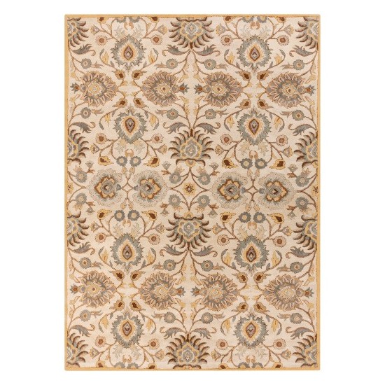 Surya Caesar CAE-1012 6' x 9' Rug