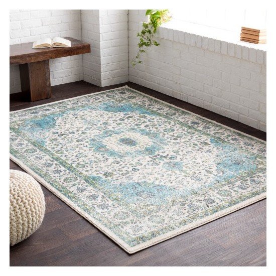 Surya Aberdine ABE-8004 2'2" x 3' Rug