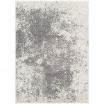 Surya Aberdine ABE-8013 2'2" x 3' Rug