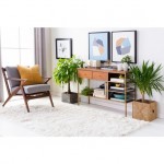 Surya Whisper WHI-1005 8' x 10' Rug