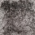 Surya Jasper JSP-8003 5' x 8' Rug