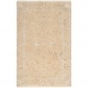 Surya Transcendent TNS-9002 5'6" x 8'6" Rug