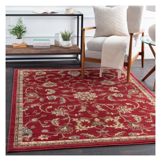 Surya Riley RLY-5024 2' x 3'3" Rug