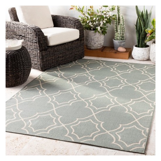 Surya Alfresco ALF-9589 3'7" x 5'7" Rug