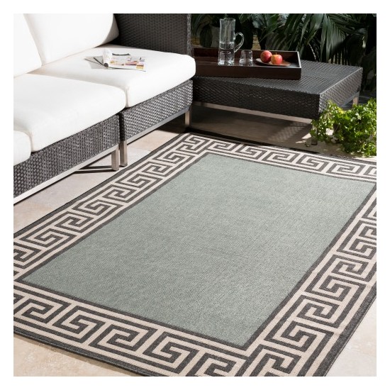 Surya Alfresco ALF-9625 3'7" x 5'7" Rug